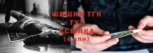 хмурый Дмитриев