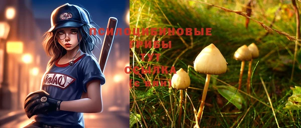 mix Дмитров