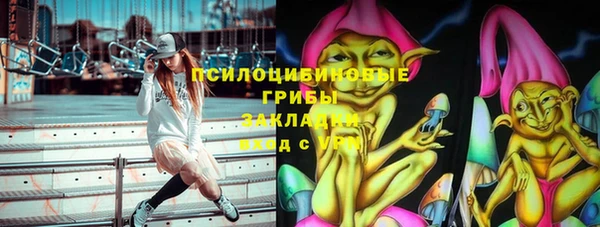 мяу мяу мука Алзамай