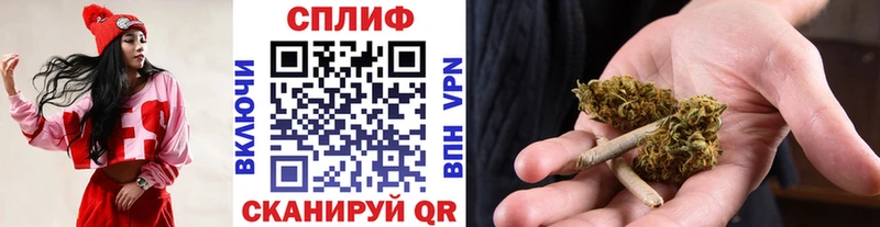 Канабис конопля Омутнинск